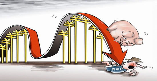 生猪期货为何迟迟没有上市