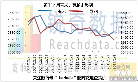 玉米价格最新行情2015