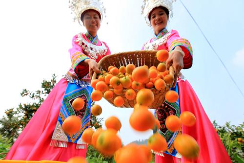 广西柳州融安金橘成为国家地理标志产品