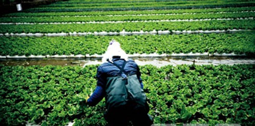 云南农产品GDP_云南2020各市gdp(3)