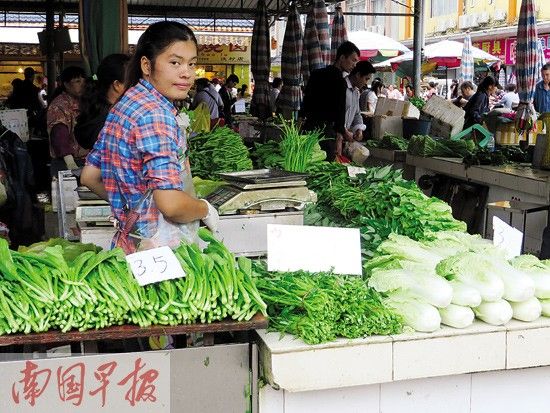 在南宁市淡村市场,蔬菜价格近段时间上涨不少。 南宁市价格信息网公布数据 韦春艳/综合制作 自8月中旬起,南宁进入台风季,接二连三的台风入境,给整个广西境内带来重大影响,其中包括蔬菜价格。叶菜类价格比以前贵了好多,并且持续近一月居高不下。南国早报记者多方走访,探寻涨价原因,菜价何日才能回复平稳 市民:菜价飞涨受不了 近段时间以来,南宁叶菜类蔬菜的价格一直居高不下。 9月6日,记者在友爱路、北湖路、五一路、大学路等多家农贸市场走访了解,大白菜零售卖到6元/公斤,四季豆11元/公斤,丝瓜8元