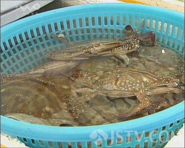 北海哪里海鲜便宜_海鲜大礼包_江苏哪里海鲜便宜