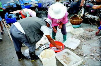 日照市海鲜码头市场_北岸海鲜码头英文_函馆海鲜市场(3)