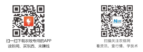 2016年11月15日生猪市场行情分析：总体平稳 涨跌两难